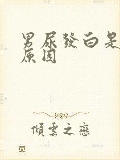 男尿发白是什么原因