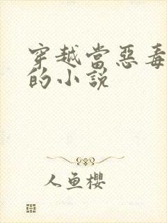 穿越当恶毒女配的小说