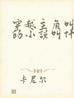 穿越主角叫沈浪的小说叫什么名字