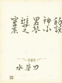 穿进男神的梦里叶芝琴小说