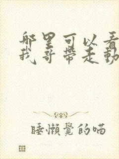 哪里可以看快把我哥带走动漫