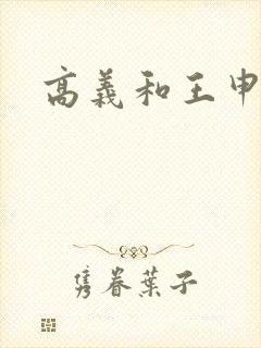 高义和王申小说