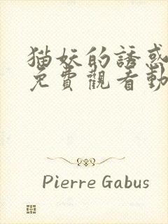 猫妖的诱惑全集免费观看动漫