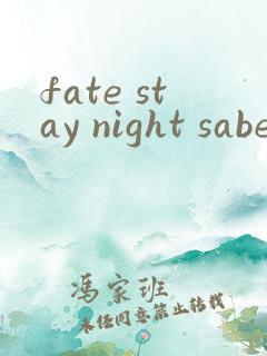 fate stay night saber线