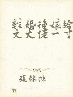 离婚后嫁给年代文大佬一寸墨