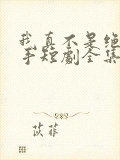 我真不是绝世高手短剧全集