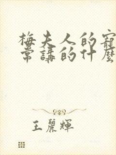 梅夫人的宠夫日常讲的什么