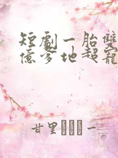 短剧一胎双宝千亿爹地超宠妻