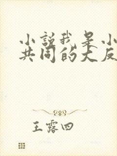 小说我是小说里共同的大反派