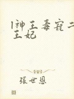 l神王毒宠二嫁王妃