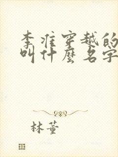 李准穿越的小说叫什么名字