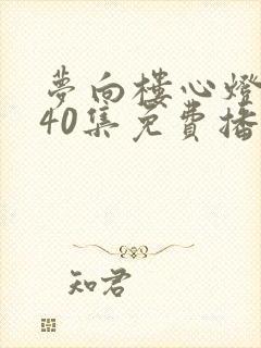 梦向楼心灯火归40集免费播放