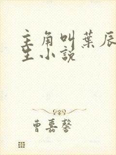 主角叫叶辰的重生小说