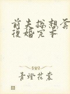 前夫总想套路我复婚完本