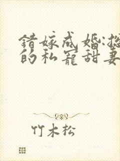 错嫁成婚:总裁的私宠甜妻