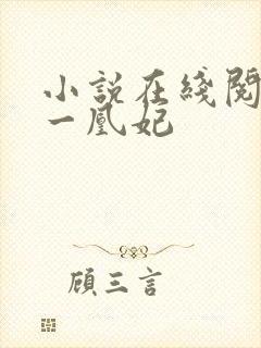 小说在线阅读第一凰妃