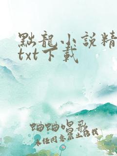 黜龙小说精校版txt下载