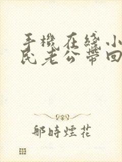 手机在线小说国民老公带回家