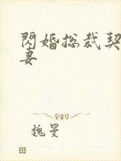 闪婚总裁契约甜妻