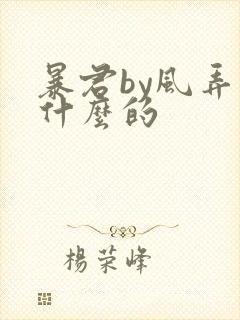 暴君by风弄讲什么的
