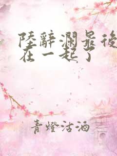 陆辞澜最后和谁在一起了