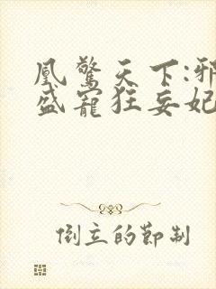 凰惊天下:邪王盛宠狂妄妃