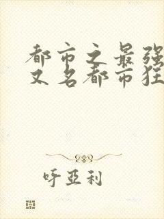 都市之最强狂兵又名都市狂枭