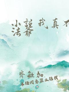 小说 我真不是法爷