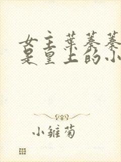 女主叶蓁蓁男主是皇上的小说