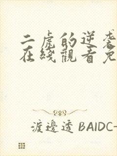 二虎的逆袭人生在线观看免费