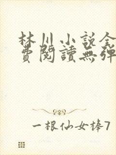 林川小说全文免费阅读无弹窗