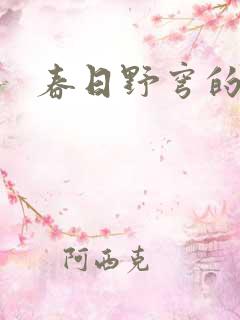 春日野穹的兔子