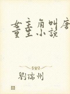 女主角叫唐晚的重生小说