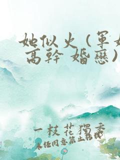 她似火 (军婚 高干 婚恋)