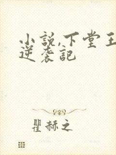 小说,下堂王妃逆袭记