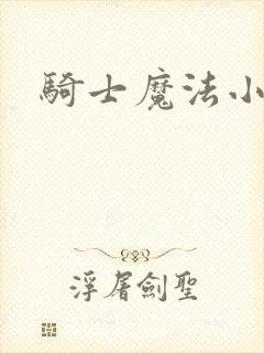 骑士魔法小说