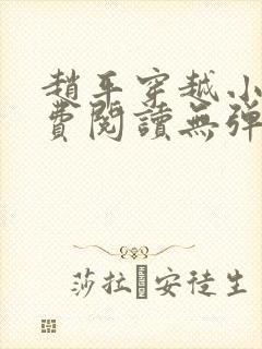 赵平穿越小说免费阅读无弹窗