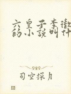 六皇子李彻穿越的小说叫什么