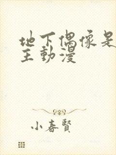 地下偶像是双男主动漫