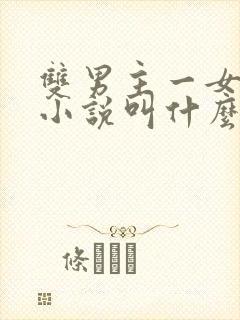 双男主一女主的小说叫什么