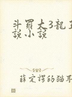 斗罗大3龙王传说小说