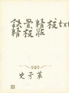 铁骨精校txt精校版