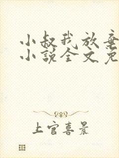 小叔我放弃你了小说全文免费阅读