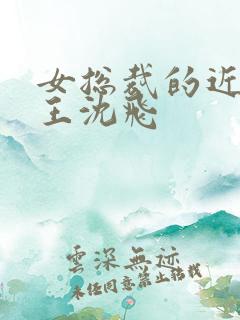 女总裁的近身兵王沈飞