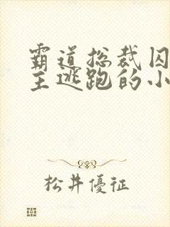 霸道总裁囚禁女主逃跑的小说