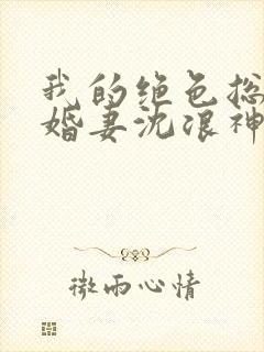 我的绝色总裁未婚妻沈浪神