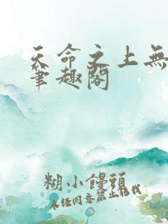 天命之上无弹窗笔趣阁