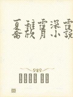 夏稚霍深霍栖野乔欣月小说名字