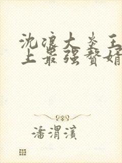 沈浪大炎王朝史上最强赘婿