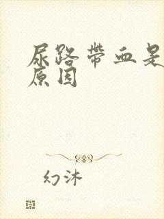 尿路带血是什么原因